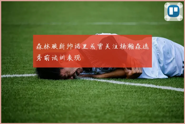 森林狼新帅诺里或曾关注杨瀚森选秀前试训表现