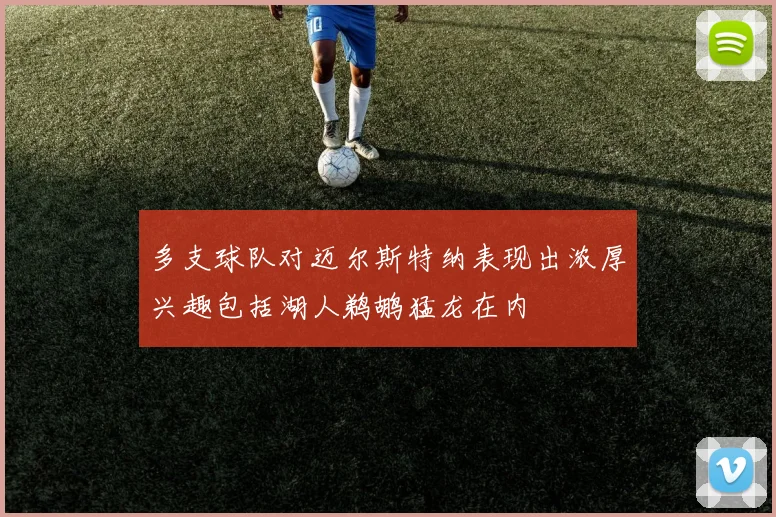 多支球队对迈尔斯特纳表现出浓厚兴趣包括湖人鹈鹕猛龙在内
