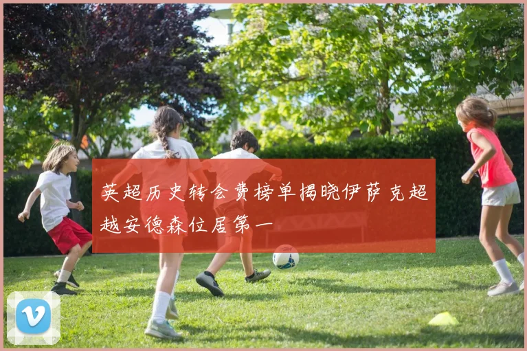 英超历史转会费榜单揭晓伊萨克超越安德森位居第一